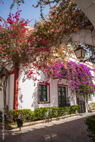 house in the south with flowers bougainvillea