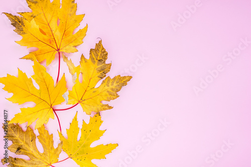 Autumn composition. yellow leaves with berries on a pink background. autumn background. flat lay  top view  copy space