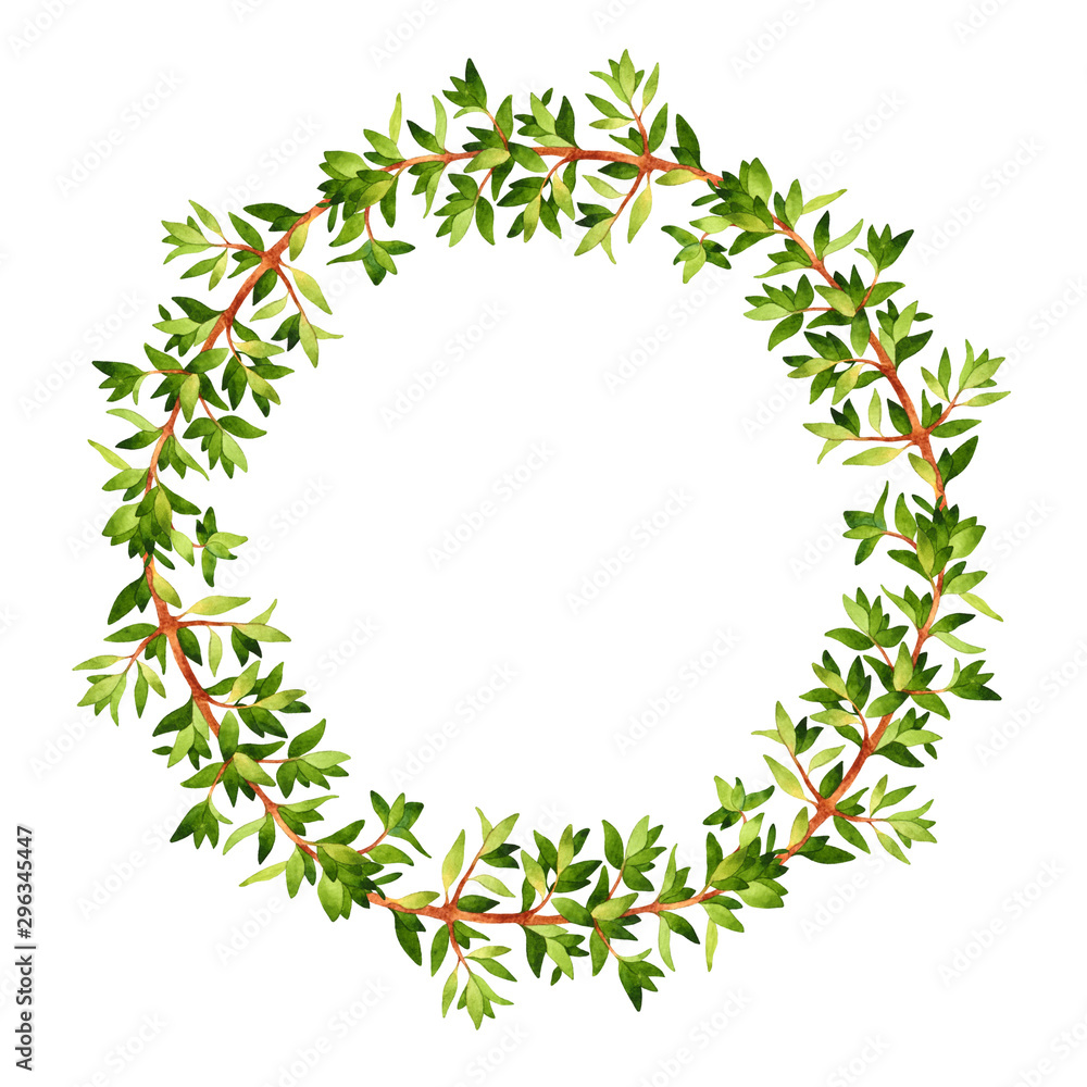Fototapeta premium Isolated watercolor wreath with fresh thyme