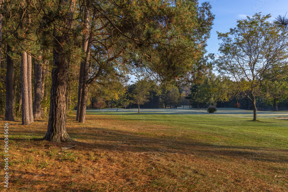 Naklejka premium green grass golf course in fall with autumn leaves and trees