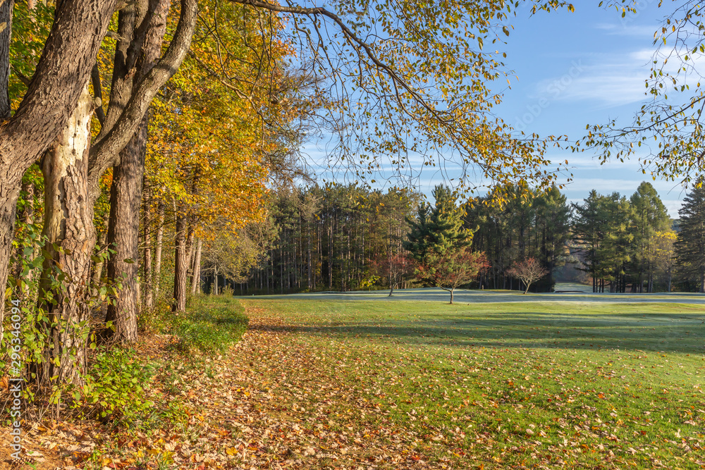 green grass golf course in fall with autumn leaves and trees green grass golf course in fall with autumn leaves and trees