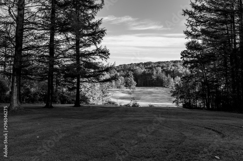 black and white golf course with morning dew 