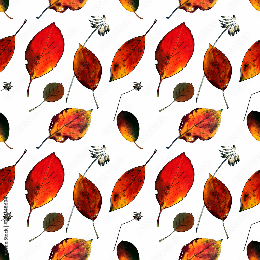 Obraz premium Seamless pattern with autumn leaves on white background Hand draw illustration.