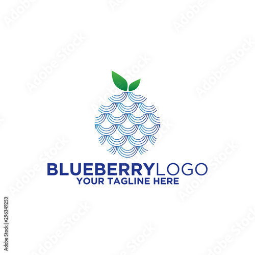 Blueberry Logo