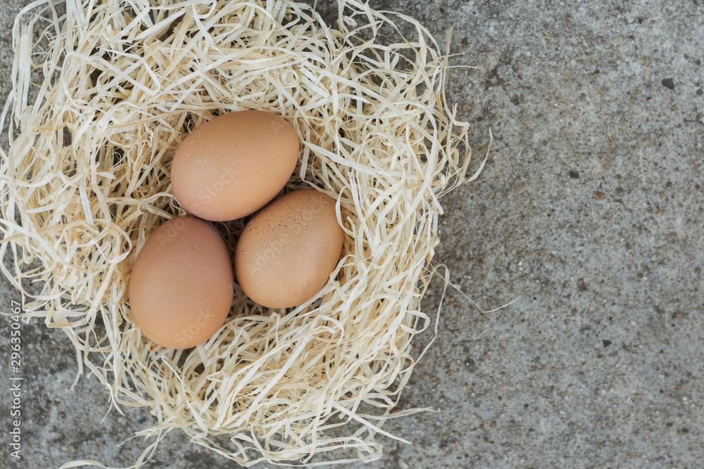 White nest filled with brown eggs White nest filled with brown eggs