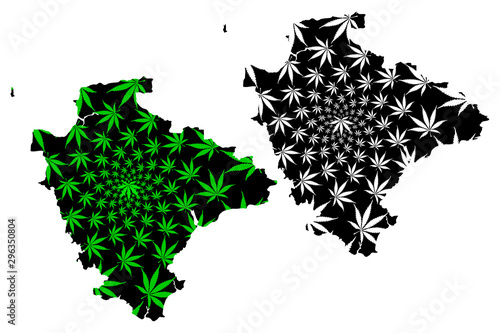 Devon (United Kingdom, England, Non-metropolitan county, shire county) map is designed cannabis leaf green and black, Devonshire map made of marijuana (marihuana,THC) foliage....