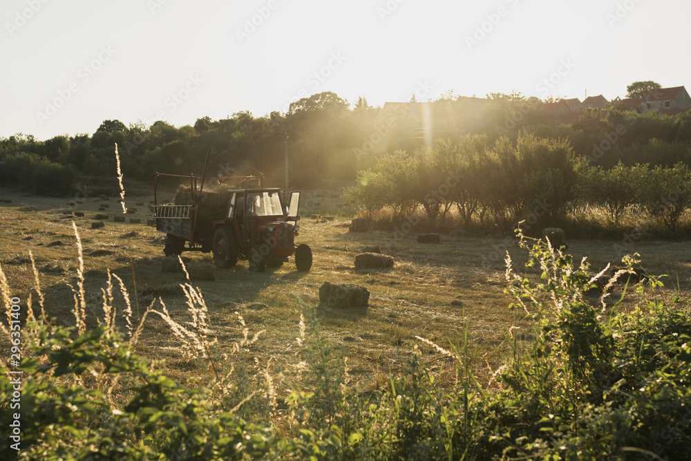 Fototapeta premium Old red tractor collecting the haystacks from the field