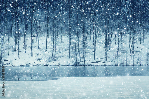 Winter landscape of frozen trees and snowfall.