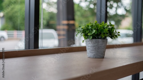 A small plant pot on the table next to the window