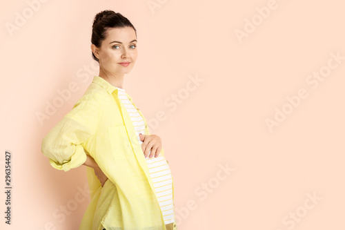 Beautiful young pregnant wo...