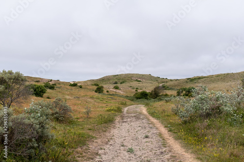 Dunes around the  Lageweg  in the  Noordhollands Duinresed.