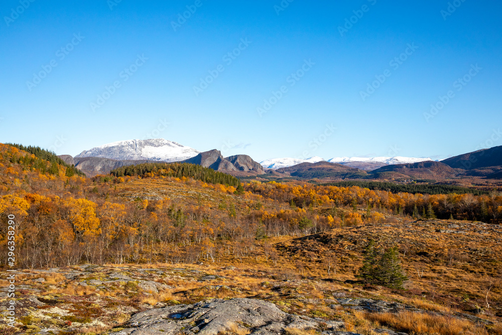 On a walk in beautiful autumn, Northern Norwegian nature is colored