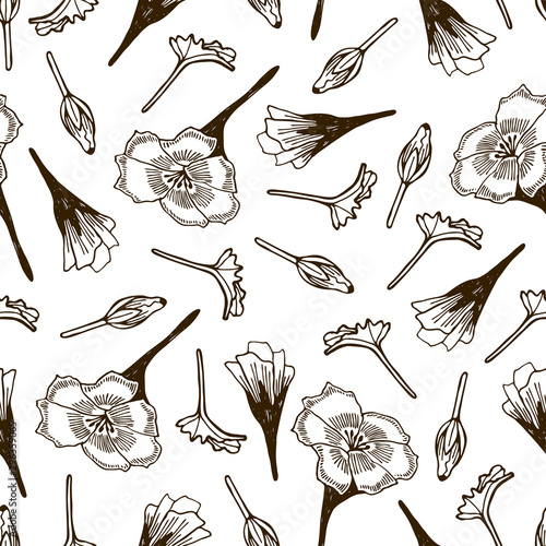 Fototapeta Naklejka Na Ścianę i Meble -  Geranium flower set vector illustration hand drawing outline hand drawing