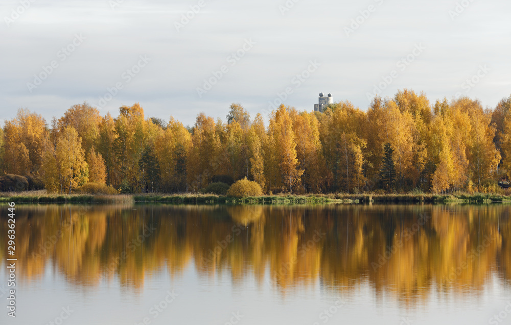 An autumnal landscape with yellow birch trees and calm lake surface. A  roof top of a building over the tree tops