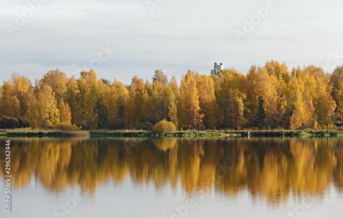 An autumnal landscape with yellow birch trees and calm lake surface. A roof top of a building over the tree tops
