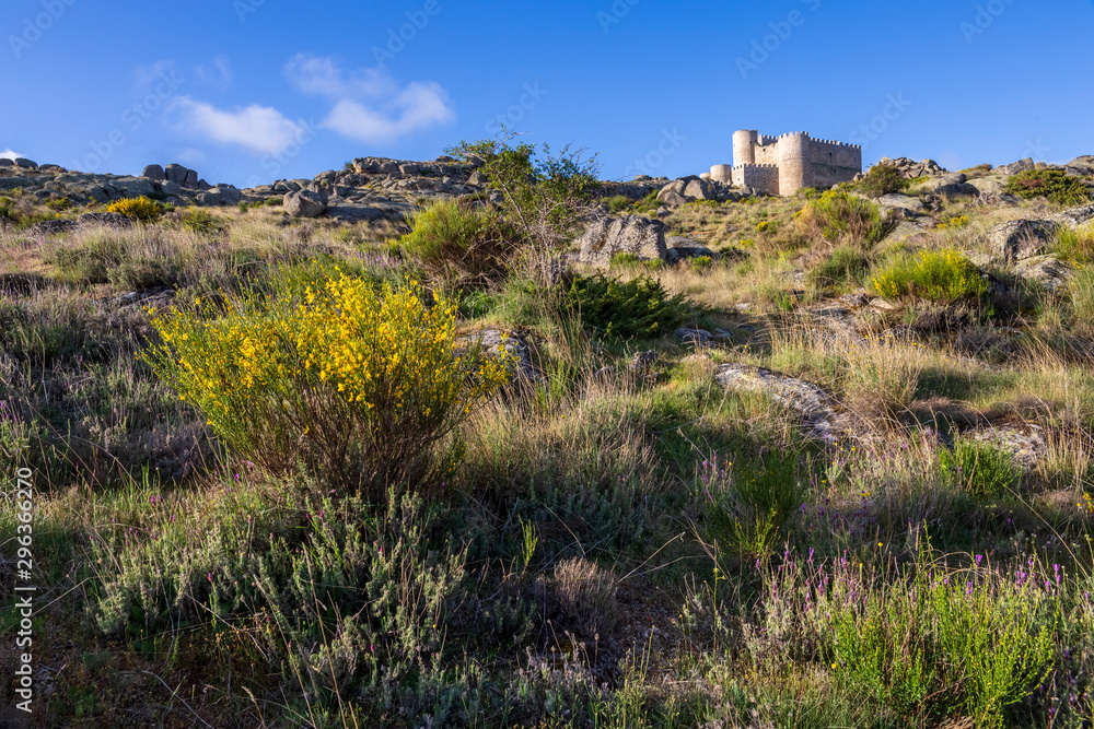 Castillo medieval de Manqueospese en Sierra Paramera. Avila. España. Europa.