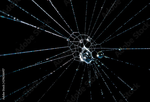 Beautiful abstract background. Spider web and water spray