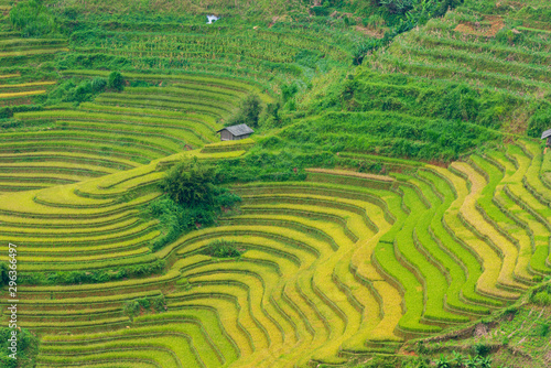 The rice terraces heritage on the majestic mountains range and deep valley with ripe yellow rice field and colorful dramatic layout © Khanh