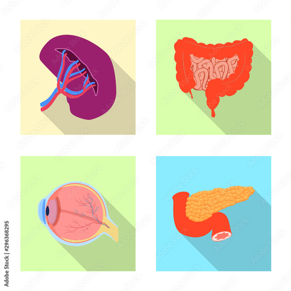 Vector illustration of body and human symbol. Set of body and medical stock vector illustration. Vector illustration of body and human symbol. Set of body and medical stock vector illustration.