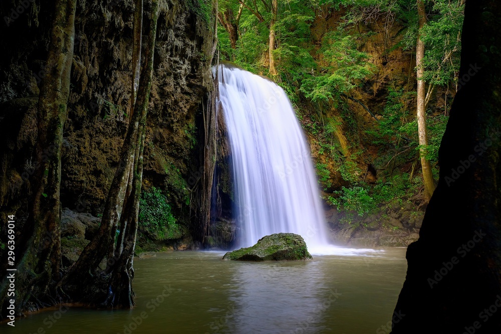 Fototapeta premium waterfall in forest