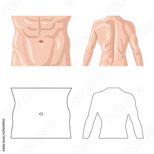 Isolated object of human and part symbol. Collection of human and woman vector icon for stock.