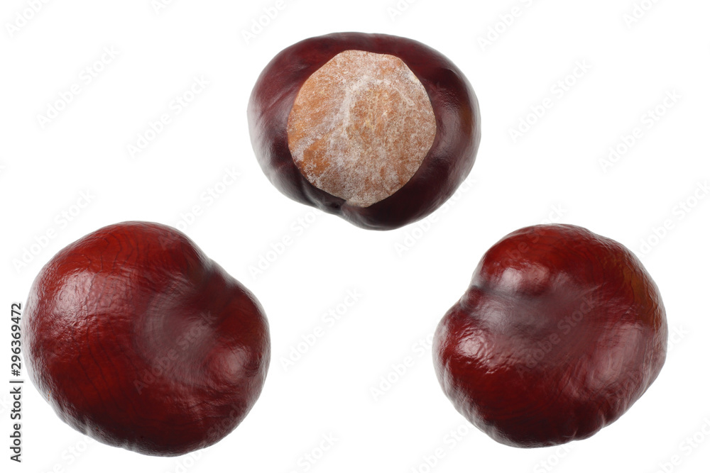 chestnuts isolated on white background. top view chestnuts isolated on white background. top view