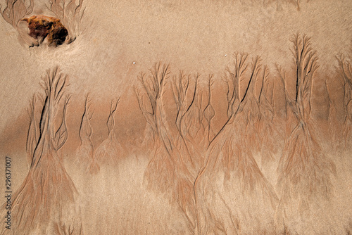 Western Australia – nature art structures at a sandy beach at low tide with water channels as top view in the morning sun