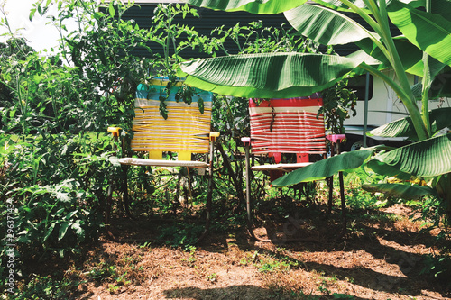 Direct view of two nylon strap chairs in backyard
