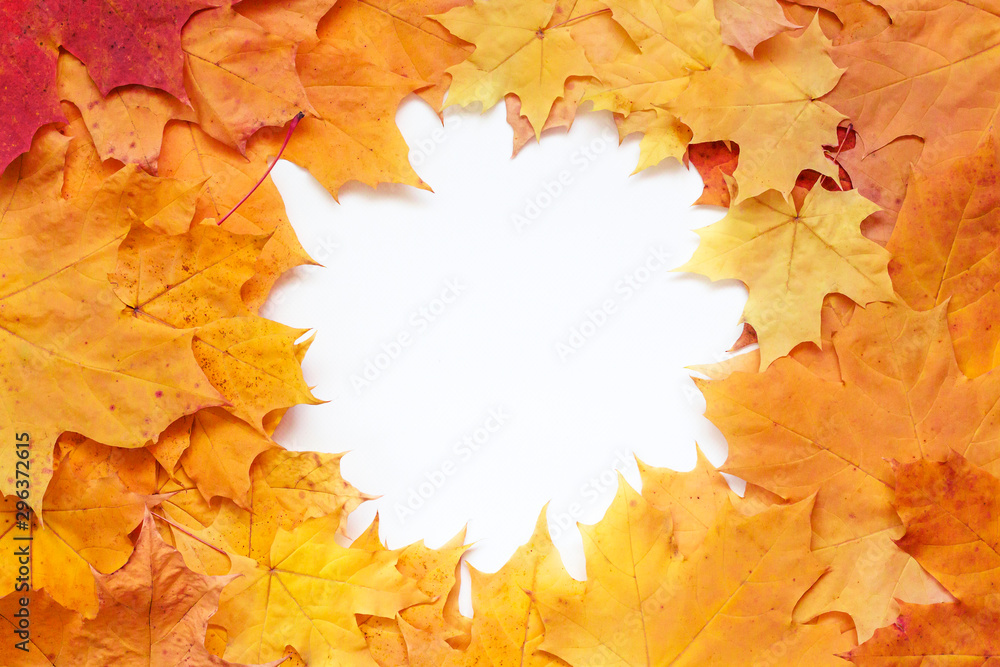 Border frame of orange autumn leaves. Flat lay, top view, copy space. Border frame of orange autumn leaves. Flat lay, top view, copy space.