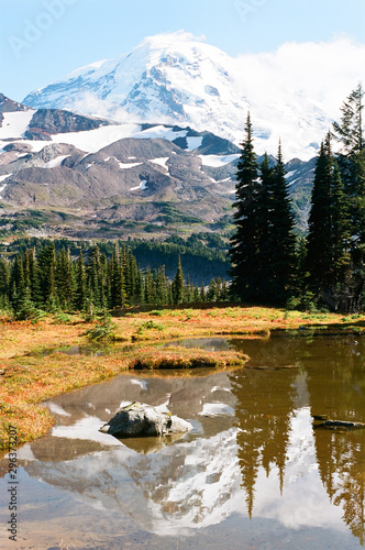Mountain in alpine forest