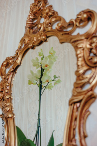 Reflection of orchid in gilt framed mirror