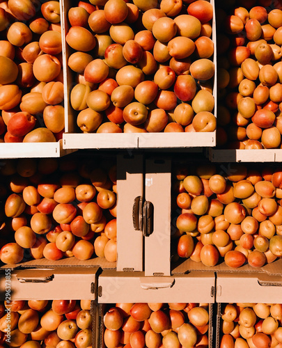 Overhead view of apricots in cardboard boxes photo