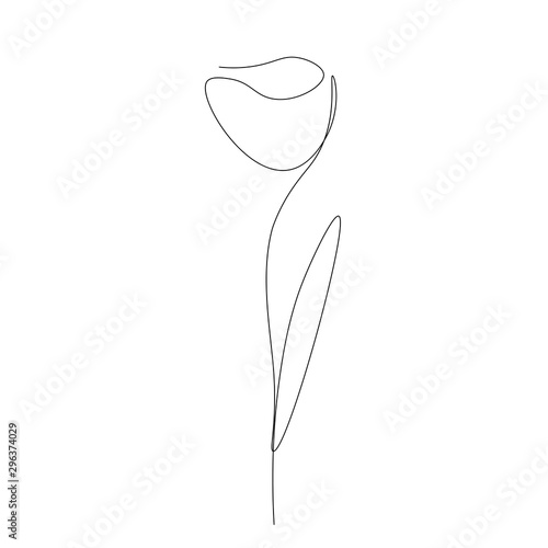 Spring flower line drawing, vector illustration © Keya