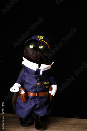 A black cat dressed as a police officer against a black background