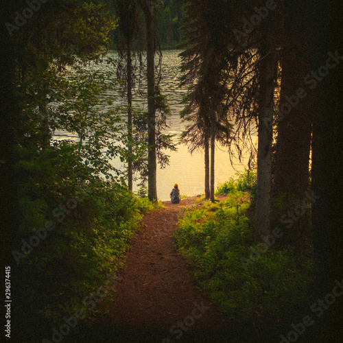 Rear view of woman sitting by lake in forest