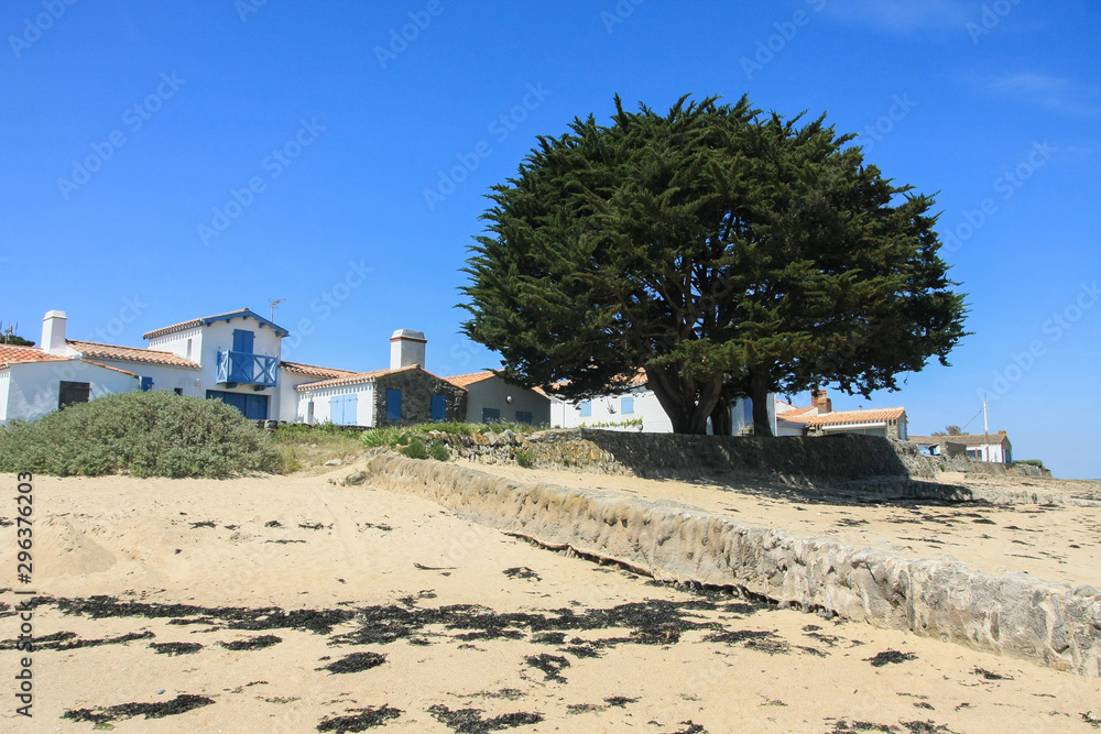 noirmoutier noirmoutier
