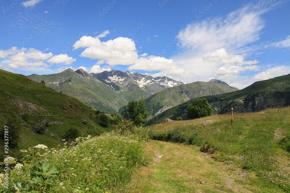 Fototapeta premium montagne