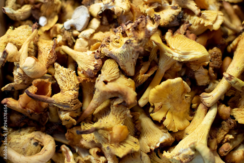 Spanish Natural and fresh fruits and vegetables gastronomy products. Mushrooms in the market place Spanish Natural and fresh fruits and vegetables gastronomy products. Mushrooms in the market place