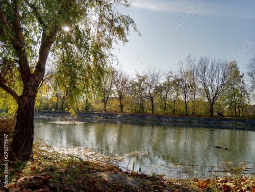 autumn in the park