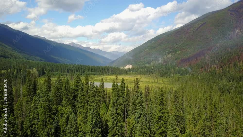 Drone flight low over pine forest and lake in Brirish Colombia, Canada Drone flight low over pine forest and lake in Brirish Colombia, Canada