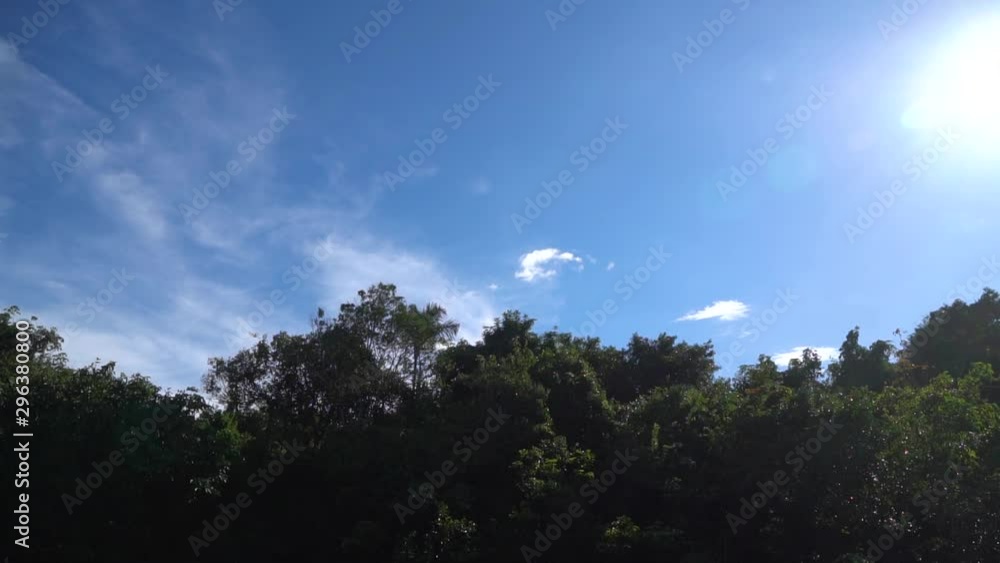 Blue Skyline Over Amazonian Rainforest 120fps Slow Motion, View From Moving Boat on Amazon River, Brazil Blue Skyline Over Amazonian Rainforest 120fps Slow Motion, View From Moving Boat on Amazon River, Brazil