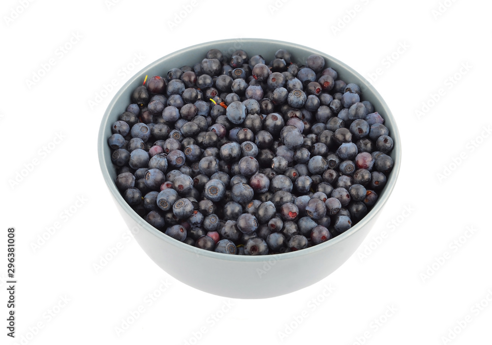 Blueberry on white Blueberry on white