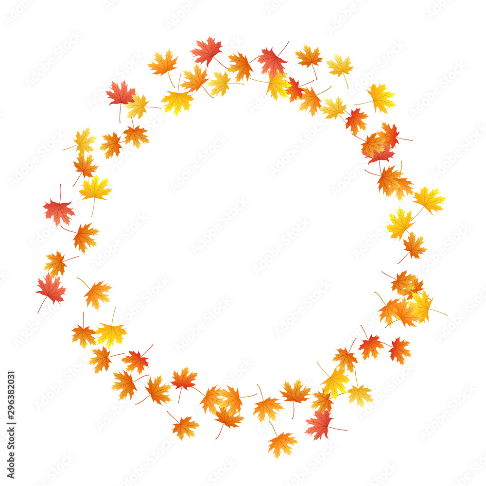 Fototapeta premium Maple leaves vector background, autumn foliage on white graphic design.