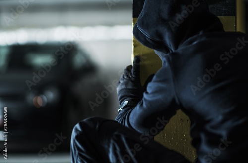 Принти на полотні Car Thief Taking Action
