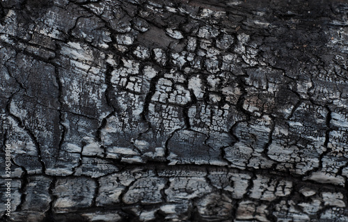 Scorched wood texture. Charcoal background, copy space. Crackle texture or pattern