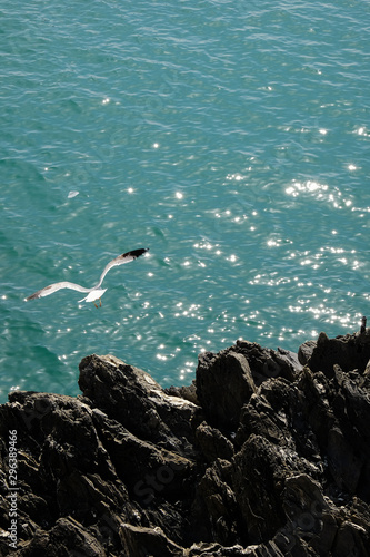Bird flying against sea