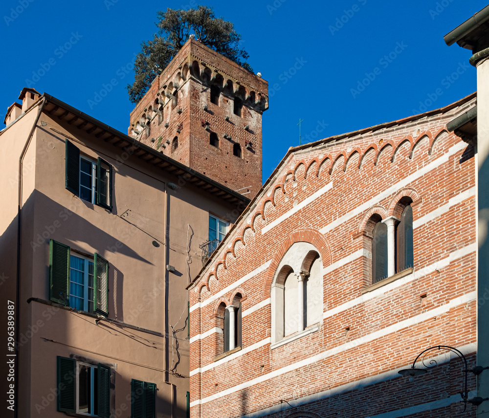 Città di Lucca - Torre Guinigi
