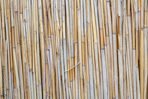 Bamboo rooftop closeup background texture with multiple straws in focus