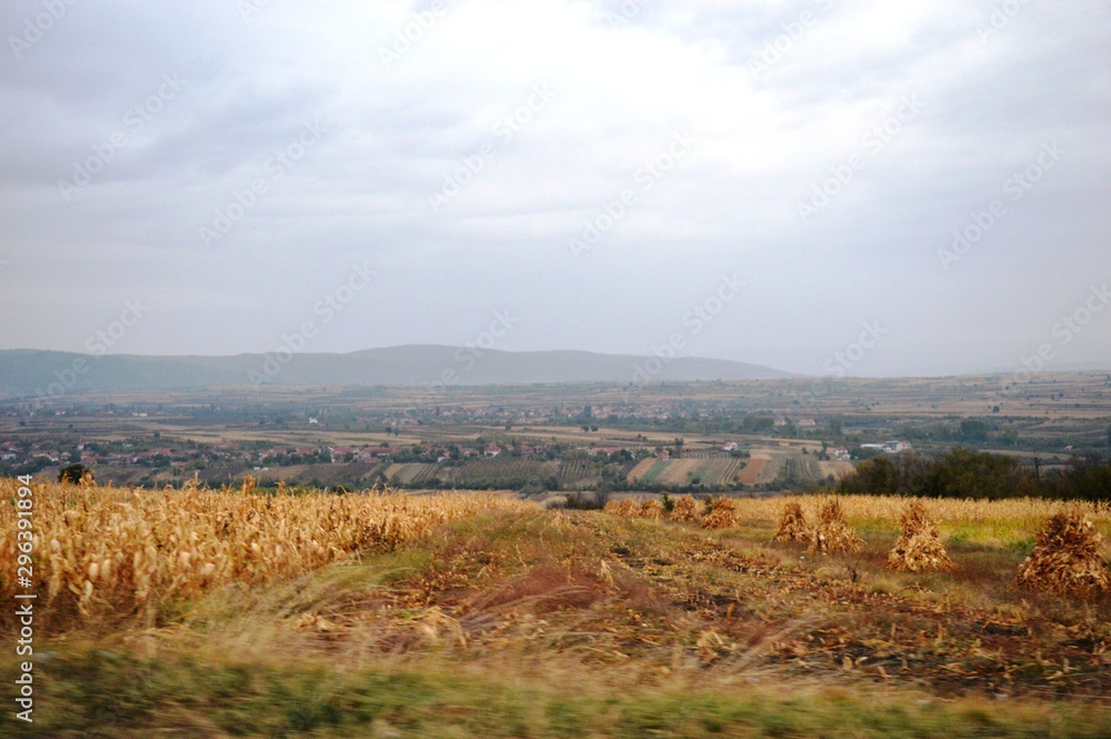 landscape of fields in autumn