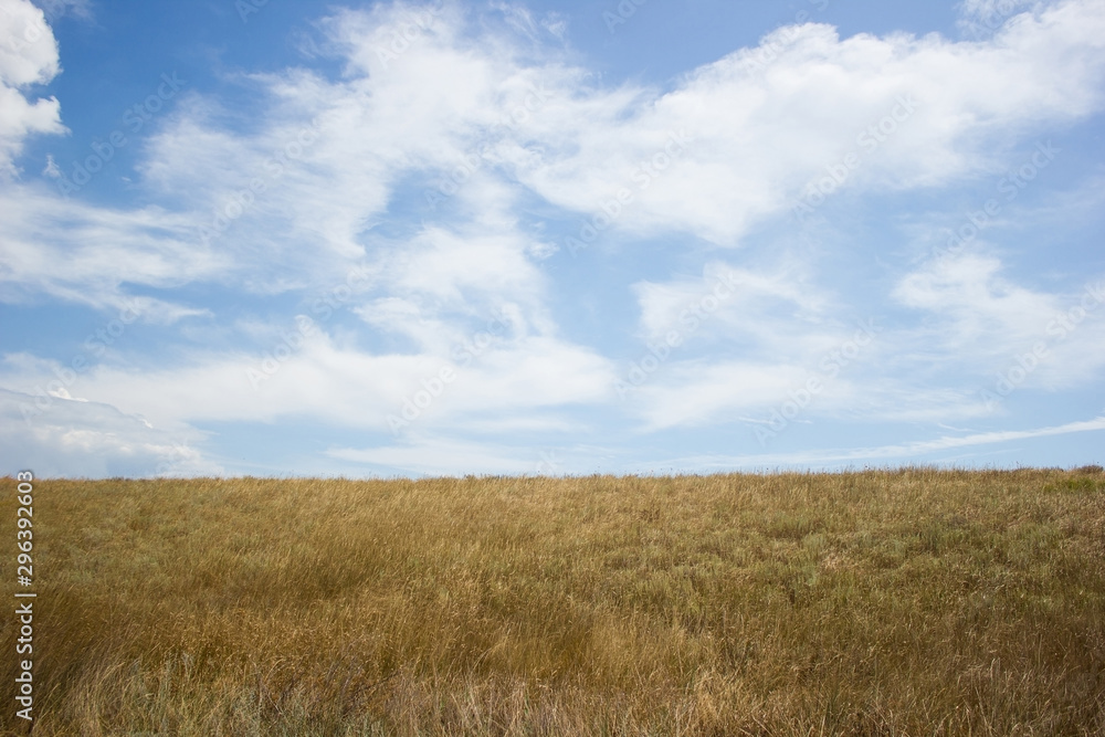 Landscape blue clouds grass field and horizon - background Landscape blue clouds grass field and horizon - background